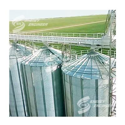 China Water Proof Hot Sale Product Rice Bucket Elevator Bucket Elevator For Sale Rice Mill Bucket Elevator for sale