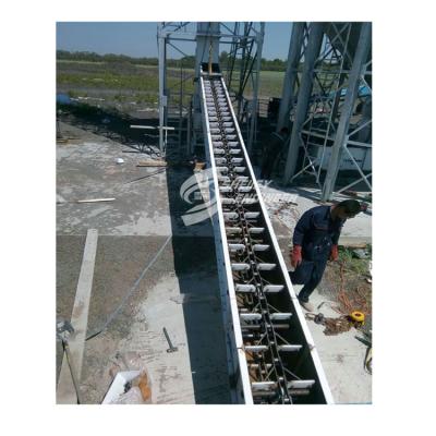 China Quality Service Heat Resistant Double Bucket Lift Vertical Conveyor for sale