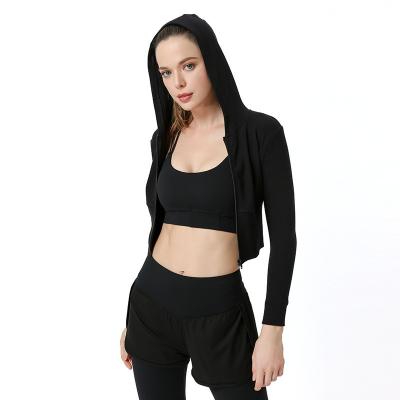 China Lady Running Quick Dry Yoga Running Jacket Fitness Gym Jackets Women Sports Antibacterial Zipper Yoga Long Sleeve for sale