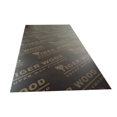 China Modern Chinese Factory Good Price Flexible Plywood Film Faced Plywood for sale