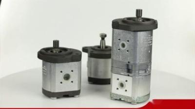 China 0510625071 Azpf-11-016rrr20kb-S0081 Hydraulic Gear Pump For Rexroth for sale