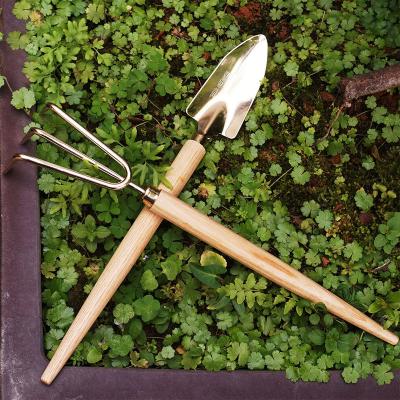 China HOME 2020 Hot Selling 3 Pcs Piece Indoor Gardening Mini Succulent Hand Garden Tool Stainless Steel Set With Wooden Handle for sale