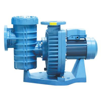 China Cheap ABS China Engin Water Pump Electric professional manufacture of irrigation and agriculture factory for sale