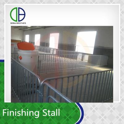 China Factory Price Hog And Hog Fatten Crate Farm Raising Equipment Popular Design for sale