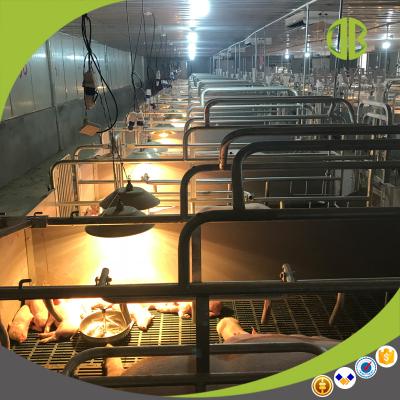 China Hog Deba's Brother Farrowing Crates for Hog Farming for sale