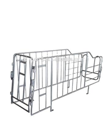 China Boar and pregnant sow pig gestatioon stall pig pregnant stall in china factory supply good quality for sale