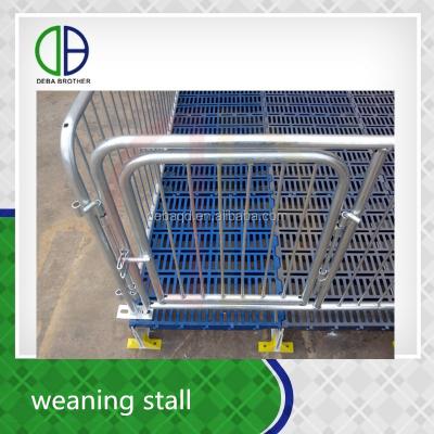 China Weaning Stall Hot Dip Galvanizing Factory Price New Design Pig and Piglet Cattle Weaning Crate for sale