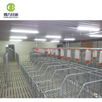 China Pig Feeder Pig Farm Used Stainless Material Pig Feeder Stainless Steel for sale