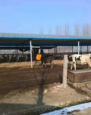 China Cattle sweep equipment for miscellaneous cattle for sale