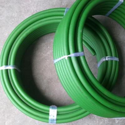 China food & Beverage Factory Polyurethane Belt Endless Drive Belt Green PU Green Round Belt for sale