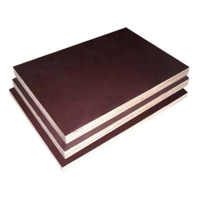 China 20mm traditional finger joint plywood for sale