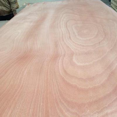 China 9mm 12mm 15mm 18mm modern okoume plywood for sale