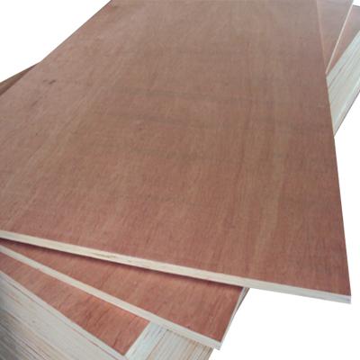 China Modern Oversize Plywood Sheets 1250x2500mm for sale