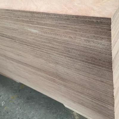 China 12mm modern gurjan wood plywood for sale for sale