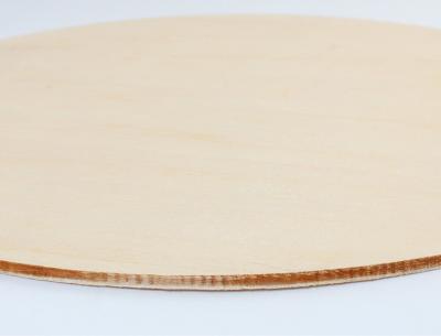 China Poplar Solid Round Wooden Discs Disk Board Baby Card Christmas Wood Chips For Diy Crafts Te koop