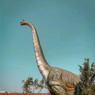 China Realistic movement 20 meters of Branchiosuarus of large simulation dinosaur animatronic dinosaur for dinosaur park for sale