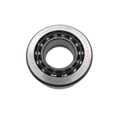 China High Quality Automotive Angular Differential Bearing Long Life Contact Ball Bearing F-236120.13.SKL-H79 for sale