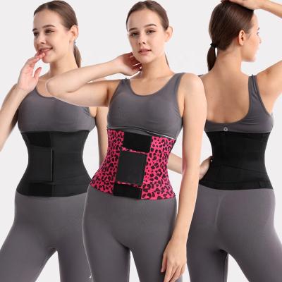 China New DLL Antibacterial Elasticity Slimming Body Shaper Private Label Corset Cincher Abdomen Belt Waist Trainer Belly Trimmer Belt Waist Trainer for sale