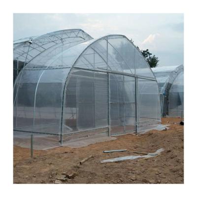 China Agricultural Tunnel Fully Automated Light Deprivation Greenhouse Single-span Blackout Greenhouse for sale