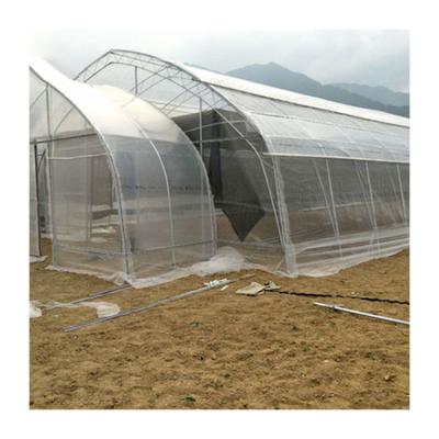 China Cheap Large 10m Aluminium Profile Green House Metal Frame Singlespan Greenhouses China Tomato Agriculture Greenhouse for sale