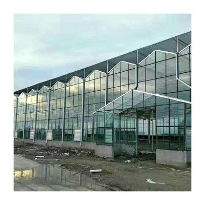 China Glasshouse Garden Luxury China Winter Cover Mushroom Green House Solar Glass Greenhouse Kits Accessories Multi-span Greenhouses for sale