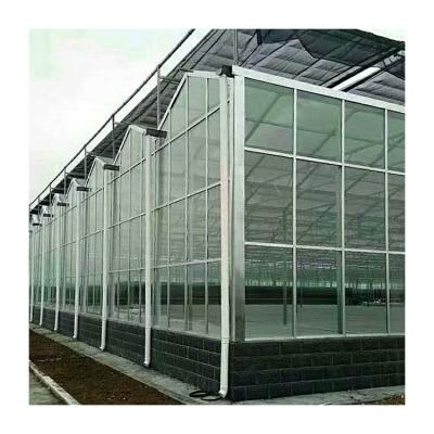 China Cheap Intelligent Agriculture Multi-span Glass Greenhouse Hydroponic Greenhouse for sale