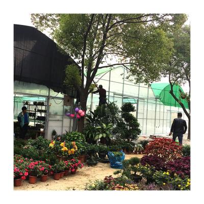 China TIANJIN TYT polytunnel plastic tunnel small greenhouses for home use for sale