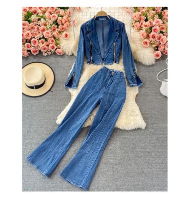 China New Arrival QUICK DRY Denim Tops Loose Wide Leg Pants Two Piece 2 Piece Denim Set Womens Jeans for sale