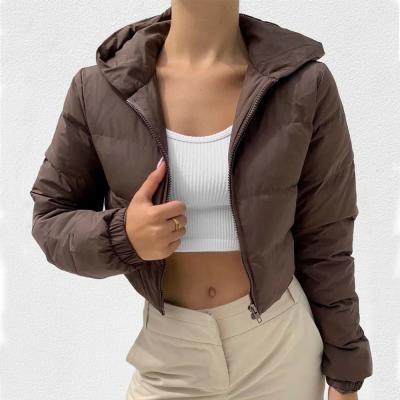 China Popular Brown Thick Shorts Jacket Anti-wrinkle Stripper Hooded Winter Casual Coats For Women 2021 for sale