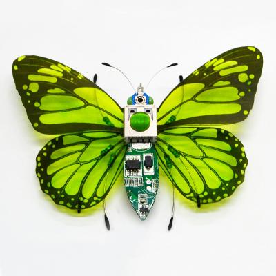 China Living Room Art Card Insect Specimen View Butterfly Crafts Plug In Sculptures Gifts For Adults for sale