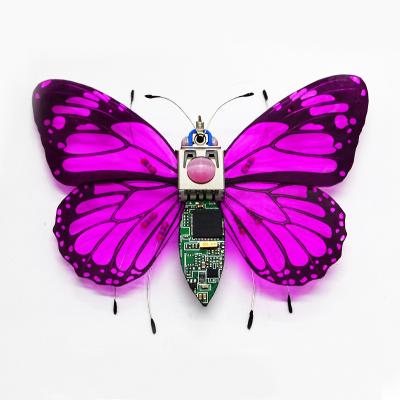 China PVC electronic electronic educational toy components+ butterfly student DIY science assemble toy with lights for kids toys for sale