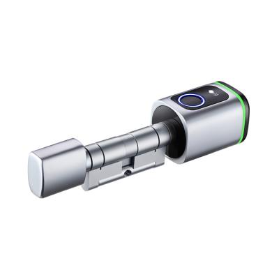 China Tuya Biometric APP Office/Bedroom/Hotel Gudlaif Fingerprint Office/Bedroom/Hotel Apartment Hotel Lock Cylinder Remote Control Special Smart Cylindrical Door Lock for sale