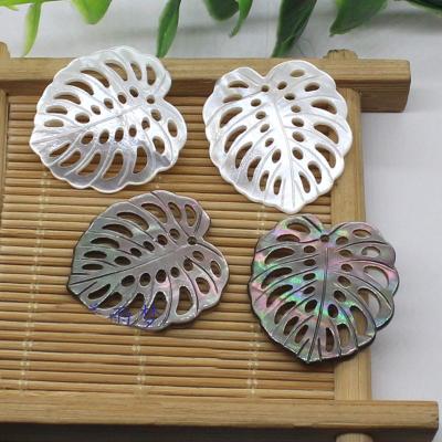 China Monstera White Leaf Fire Wholesale 24*26mm pearly color set or shell plumeria for sale