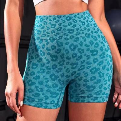 China 2023 New Seamless Women's Breathable Sexy High Waist Leopard Print Yoga Shorts Sports Slim Lift Up Workout Fitness Shorts for sale