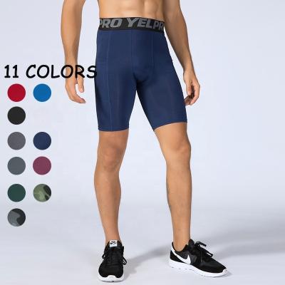 China 2023 New Anti-wrinkle Men's Shorts S-2XL Slim Fit Gym Fitness Jogger Mesh Breathable Bodybuilding Hot Shorts Shorts For Men for sale