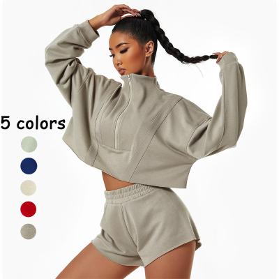 China Fashion Breathable Loose Long Sleeve Sports Sweater Comic Collar Zipper Top For Use Outdoor Casual Gym Training Sweater for sale