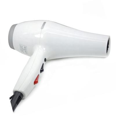 China Other New Product Professional Barber Salon Hook Cold And Hot Air Blow Dryer Electric Hair Dryers for sale