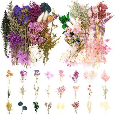 China Dried Preserved Sea Lavender Flowers Multiple Colorful Pressed Daisies Real Dried Leaf Pressed Flowers For Craft Resin Jewelry Making Art Craft DIY for sale