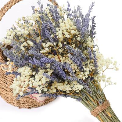 China Hot Selling100% Natural Fresh Mix Plants and Flowers Bouquet for Vase Decor Home Wedding Party Dried Lavender Flowers and Gypsophila Baby's Breath Bundles for sale