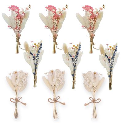 China Wed Natural Pampas Bunny Grass Baby Breath Flowers, Lavender Mini Dried Flower Bouquet 9 pack for Boho Home Decor for sale