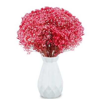 China Wedding A Grade Beautiful Design 17.2 Inch Red Natural Gypsophila Dried Flowers 2500+ Branches Babies Breath Bouquet Flowers for sale