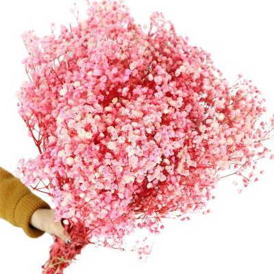 China Original Wedding Product Preserved Dried Flowers Natural Gypsophila Branches Pink Dried Babies Breath Flowers Bouquet for sale