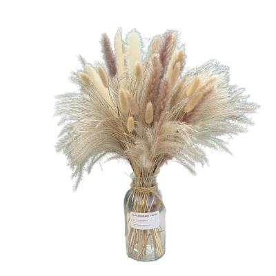 China Dried Pampas Grass Preserved Fluffy Dried Flowers For Home Decor Wedding Boho Pampas Decor 80 Pcs 17.5 Inch Natural Dried Pampas Grass for sale