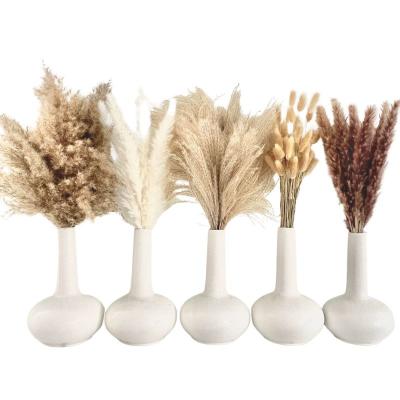 China 2023 New Product Dried Pampas Grass Preserved Dried Flower Boho Home Decoration 125 PCS Dried Pampas Grass Bouquet for sale