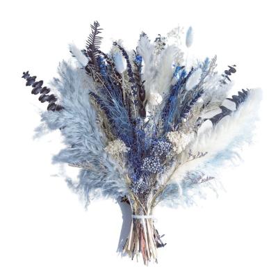 China Natural Dry Preserved Pampas Grass Flower Arrangement Inch Pampas Grass Best Gift Bouquet17 Blush Gray Blue Pampas Grass for sale