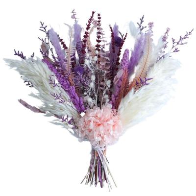 China Natural Preserved Dry Pampas Grass Flower Arrangement Inch In Pampas Grass Best Gift Bouquet17 Blush Purple Pampas Grass for sale