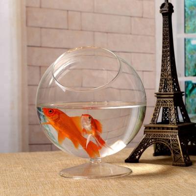 China Viable Creative Vase Aquarium Custom Transparent Spherical Glass Aquarium for sale