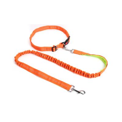 China Viable Wholesale Multifunctional Pet Leash Fashion Nylon Training Collar Dog Chain for sale