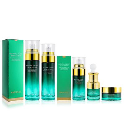 China 20 40 80 100ml 30g dark green gram bottles cosmetic skin care packaging bottle with box packaging for sale