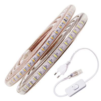 China Seed Starting 3014 Outdoor Waterproof LED Strip Light 220V 110V 120LED/m Flexible LED Ribbon With Switch Socket Home Decoration Warm White Blue for sale